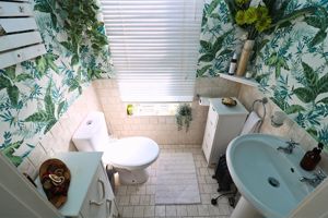 Photo 36- click for photo gallery